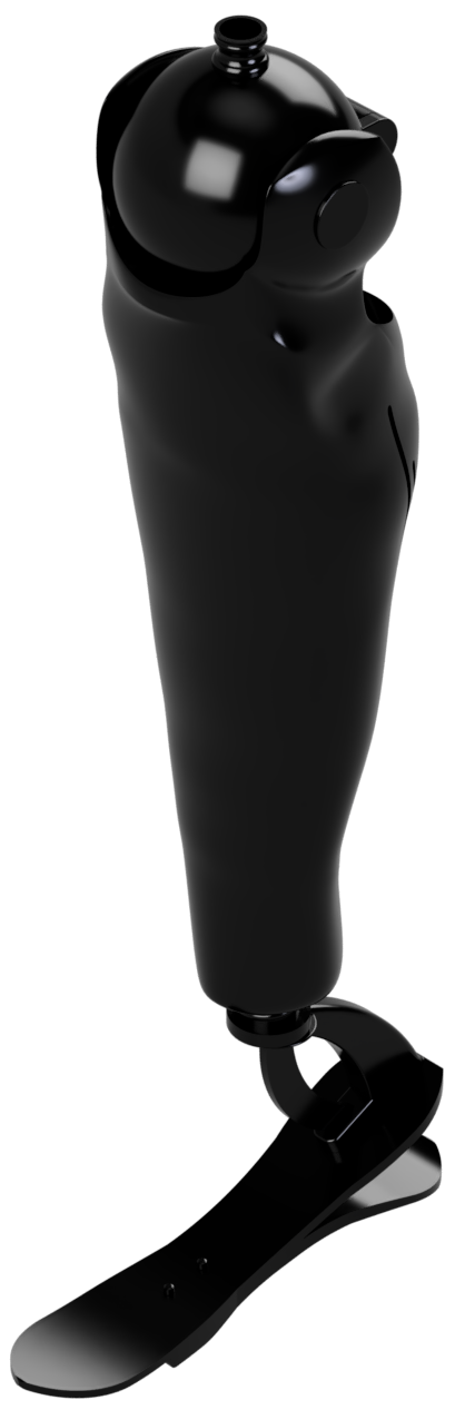 Leg